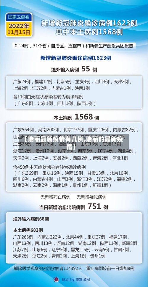 【瑞丽最新疫情有几例,瑞丽的最新疫情】-第2张图片