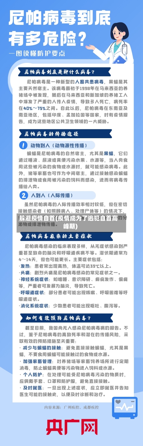 躲避疫情自首(疫情成为了逃犯自首高峰期)-第2张图片