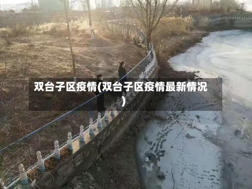 双台子区疫情(双台子区疫情最新情况)