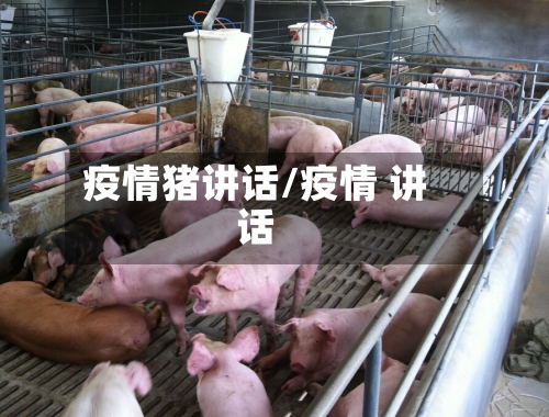 疫情猪讲话/疫情 讲话-第2张图片