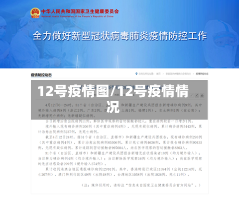 12号疫情图/12号疫情情况