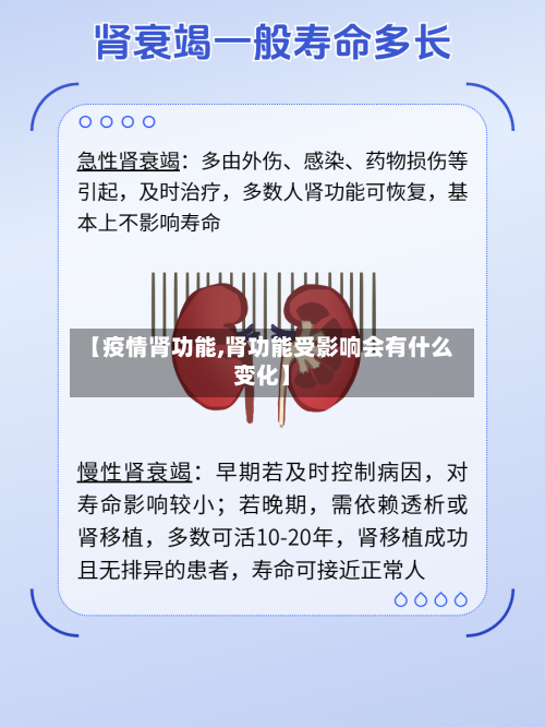 【疫情肾功能,肾功能受影响会有什么变化】-第2张图片