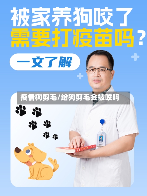 疫情狗剪毛/给狗剪毛会被咬吗-第2张图片