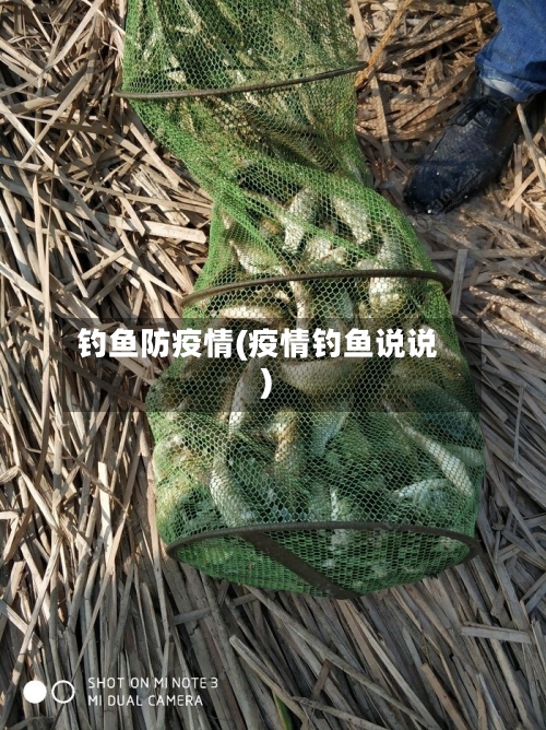 钓鱼防疫情(疫情钓鱼说说)-第2张图片