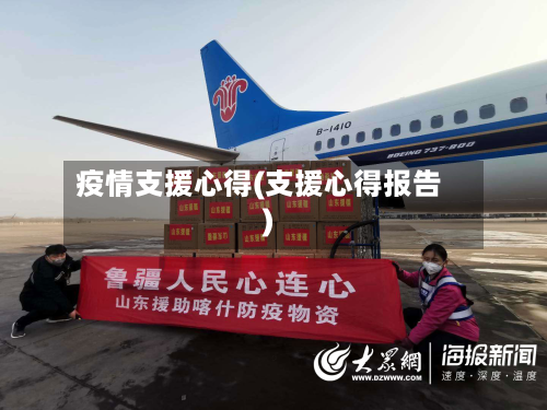 疫情支援心得(支援心得报告)