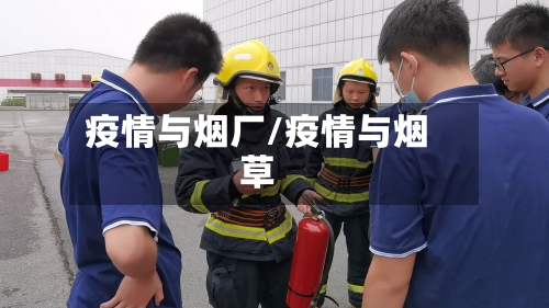 疫情与烟厂/疫情与烟草-第2张图片