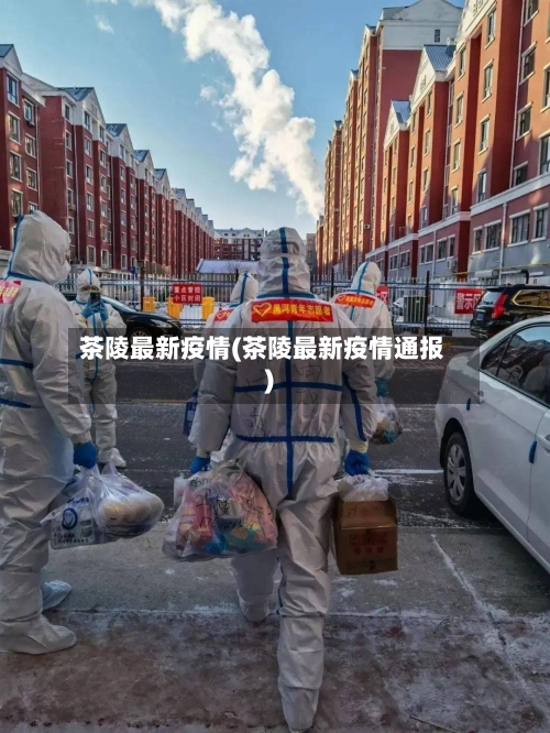 茶陵最新疫情(茶陵最新疫情通报)-第3张图片