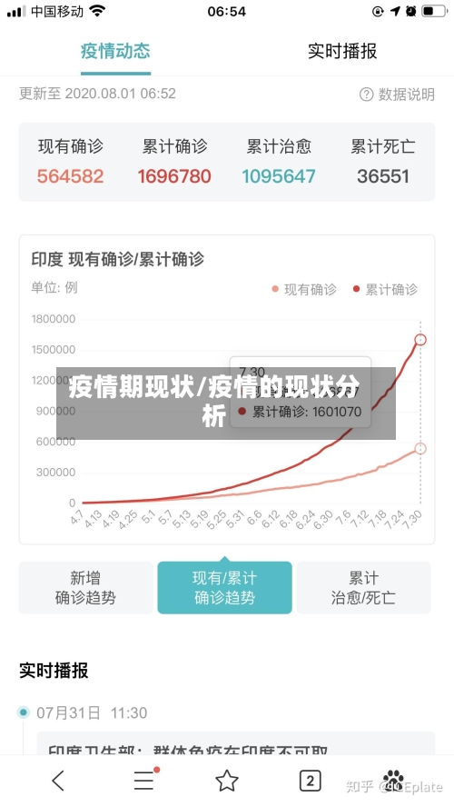 疫情期现状/疫情的现状分析