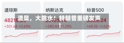 清晨，大跳水！特朗普重磅发声！
