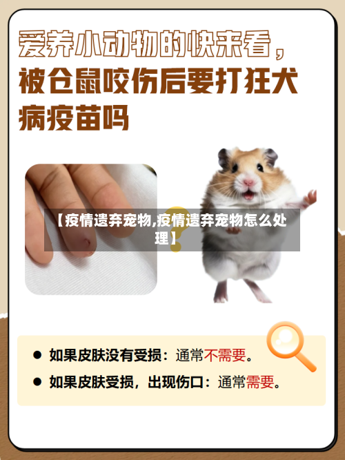 【疫情遗弃宠物,疫情遗弃宠物怎么处理】