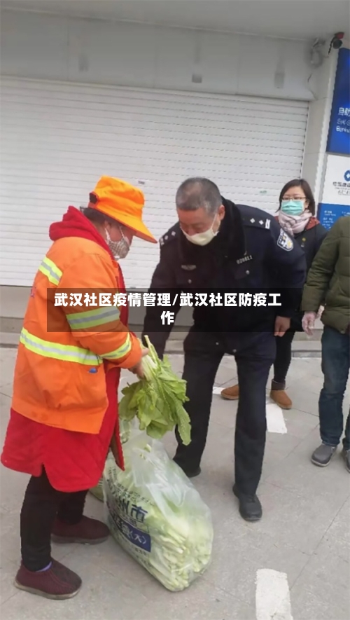 武汉社区疫情管理/武汉社区防疫工作