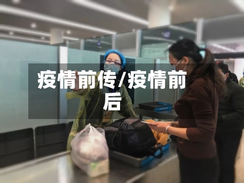 疫情前传/疫情前后