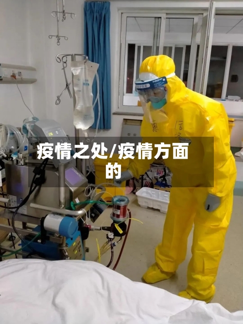 疫情之处/疫情方面的