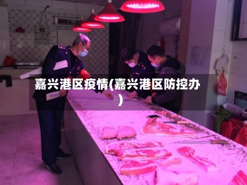 嘉兴港区疫情(嘉兴港区防控办)