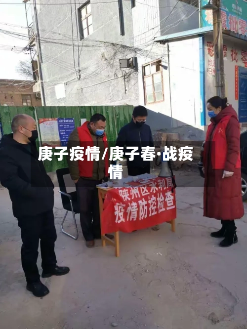 庚子疫情/庚子春·战疫情
