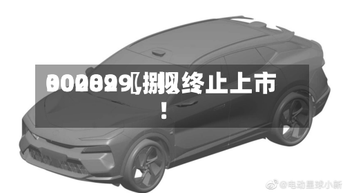 00289〖捌〗、300029，拟终止上市！