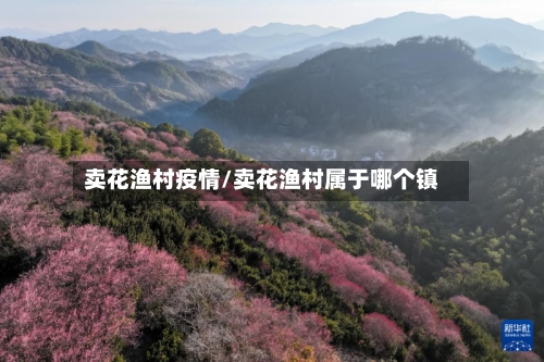 卖花渔村疫情/卖花渔村属于哪个镇