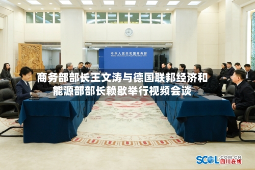 商务部部长王文涛与德国联邦经济和能源部部长赖歇举行视频会谈
