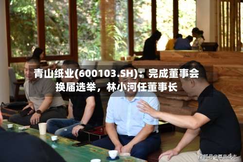 青山纸业(600103.SH)：完成董事会换届选举，林小河任董事长