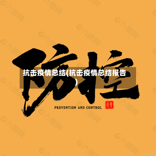 抗击疫情总结(抗击疫情总结报告)