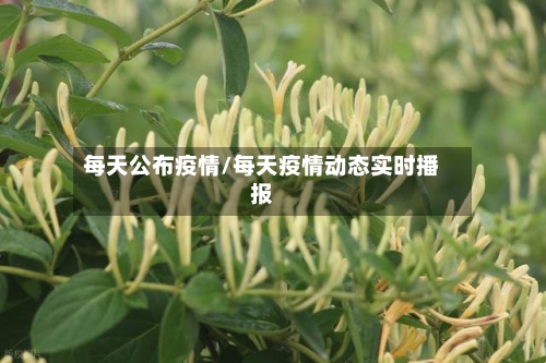 每天公布疫情/每天疫情动态实时播报