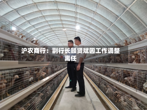 沪农商行：副行长顾贤斌因工作调整离任